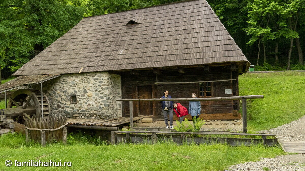 Muzeul Astra Sibiu