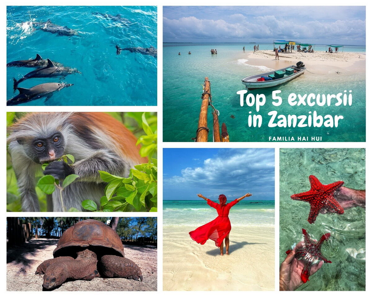 zanzibar excursie safari